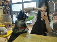 -汪说·狗咖(旺城大厦店)