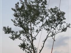 -上海山野camping·户外天幕烧烤·团建拓展营地