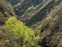 -双龙峡