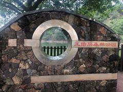 -王借岗森林公园