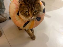 -平行世界·猫咖(首经贸店)
