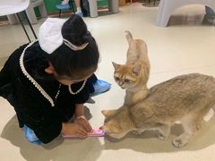 -藏猫猫咖啡主题馆(中央大道店)