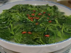 -优之名鹅城
