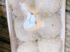 -南大门韩国米糕(公滨路店)