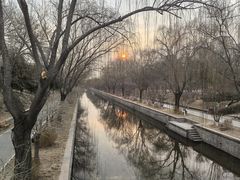 -元大都城垣遗址公园