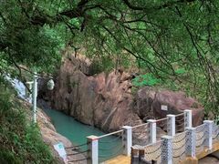 -广州白江湖森林公园