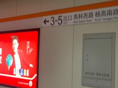 -杨高南路(地铁站)