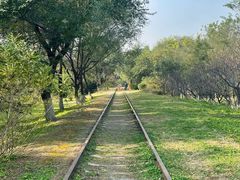 -永定河休闲森林公园