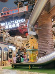 -卡通尼·Safari非洲探索乐园·生日会(金桥国际商业广场店)