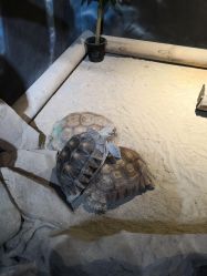 -酷嗒动物文化乐园(cutezoo西溪乐天城店)