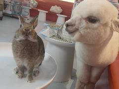 -麦当劳(龙湖北京大兴天街店)