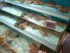 -盒马鲜生(枣园路店)
