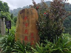 -海南热带雨林国家公园吊罗山景区