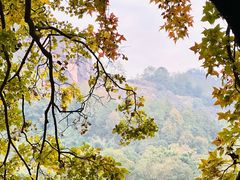 -江西龙虎山景区