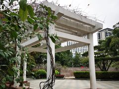 -光明港公园