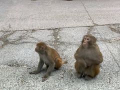 -重庆雨台山风景区