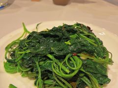 蒜蓉红薯尖-眉州东坡(华联万柳店)