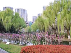 -白塘生态植物园