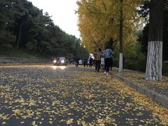 -清华大学-甲所餐厅