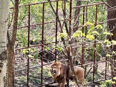 -哈尔滨北方森林动物园