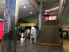 -谢列梅捷沃国际机场