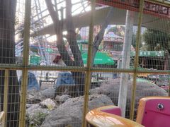 -南昌之星游乐场