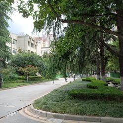-南京医科大学友谊整形外科医院