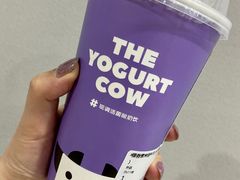 -一只酸奶牛(八一路店)