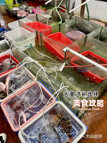 顺德味道老店｜河边河鲜YYDS