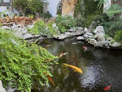 -鲤院·新中式美学·庭院餐厅(夫子庙店)