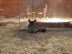 -酷嗒动物文化乐园(cutezoo西溪乐天城店)