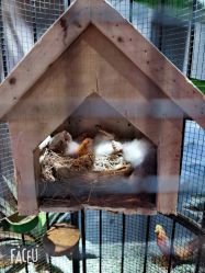 -酷嗒动物文化乐园(cutezoo西溪乐天城店)