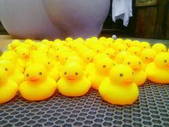 -天目湖涵田半山温泉