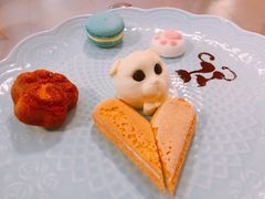 -三花喵·撸猫购宠·宠物生活馆(虹桥南丰城店)