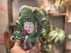 -Rabbit Cafe私房西餐甜点咖啡(栖霞路店)