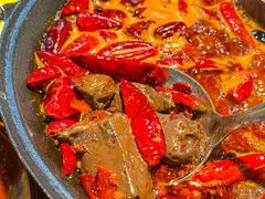 -阳阳老火锅(小南门店)