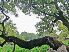 -莲池书院博物馆