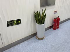 -圣贝口腔(海淀店)