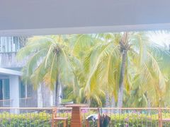 -日落吧·海景咖啡厅·餐酒吧·鸡尾酒·下午茶·乐队表演·浪漫夕阳·三亚文华东方酒店