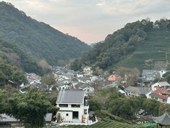 -龙井村