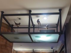-浅深Cheersum(曹杨店)