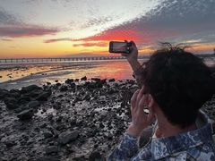 -宝安西湾红树林湿地公园