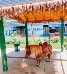 -萌宠亲子动物乐园(槐房万达店)