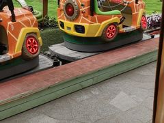 -南宫五洲植物乐园