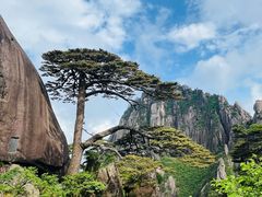 -黄山风景区
