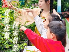 -金豆子幼稚园