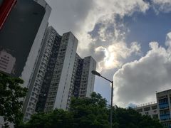 -添好运点心专门店(北角店)