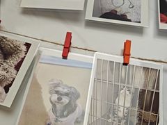 -瑞派康怡24h宠物医院·犬猫医疗中心·微创绝育(瑞景分院)