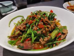 香菜炒牛肉-壹盏灯(惠农店)