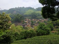 -杨家堂村